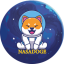 Nasa Doge
