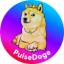 PulseDogecoin