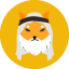 Sheikh Inu