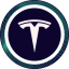 sTSLA