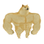 Swole Doge