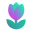 Tulip Token