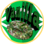Vanilla Coin